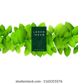 abstract green leaves nature background