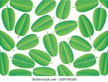 Abstract green leaves pattern - 
Formal Garden, Plant, Rain forest, Springtime, Summer