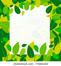 Abstract green leaves Picture frame or text frame ,Vector illustration.
