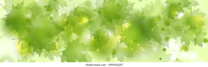 Abstract green leaves shiny summer background. Vector banner design