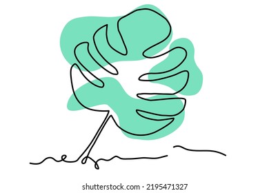 Resumen de hojas de monstera verde sobre fondo blanco