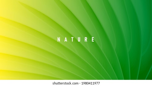 Abstract green nature background with texture of palm leaf close up, wallpaper cover