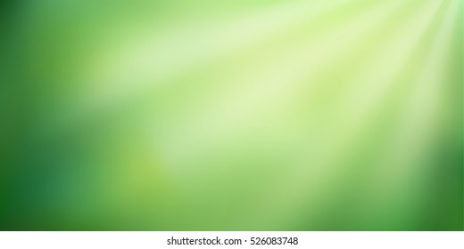 Abstract green nature blurred gradient background with sunlight. Vector illustration. Ecology concept for your graphic design, banner or poster