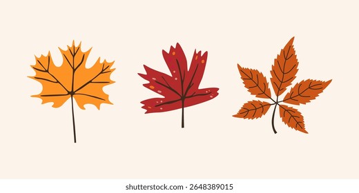 Abstract green and orange leaves of various shapes. Autumn season elements collection. Botanic fall season hand drawn tree leaves set for seasonal design and holidays