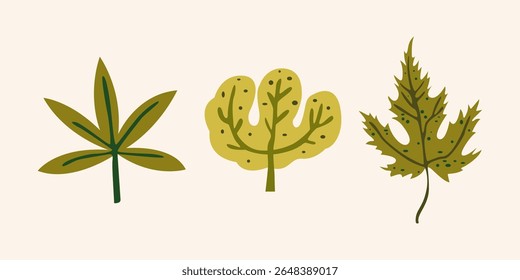 Abstract green and orange leaves of various shapes. Autumn season elements collection. Botanic fall season hand drawn tree leaves set for seasonal design and holidays