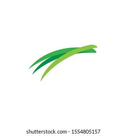 Abstract Green Pandan Leaf In Vector Illustration