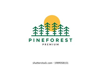 árbol de pino verde abstracto con símbolo vectorial del logotipo de puesta de sol diseño gráfico