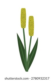 Abstract green plant with two textured spikes and leaves