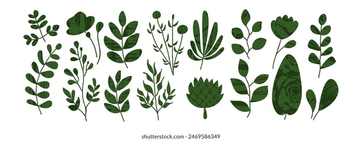 Abstract green plant vector collage design element. Simple flower leaf set. Floral garden silhouette. Spring textured foliage illustration. Flat cartoon tree branch, cute bush. Transparent background