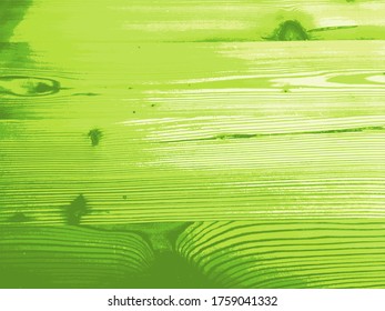 Abstract green plywood texture surface background. Vector illustration.