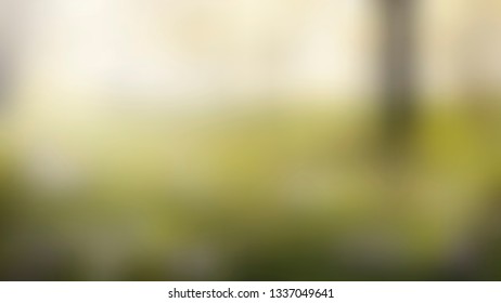 Abstract Green spring blurred gradient background. Nature backdrop.Vector concept for design, banner or poster