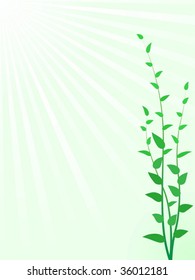Abstract green sprouts vector background with copyspace.