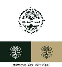 Abstract green tree and creative compass with roots vector logo design template