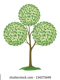 Abstract green tree with round crown, isolated on white background. Vector