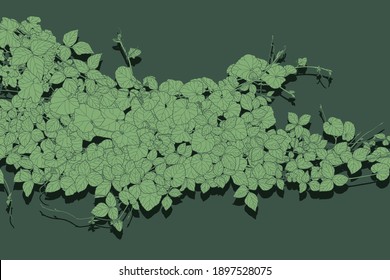 abstract green tropical leaves pattern seamless on green background. Exotic wallpaper. Collection set for use illustration vector and simple design.