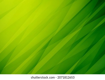 Abstract green vector background with stripes