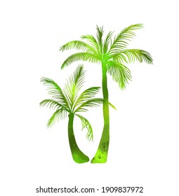 abstract green vector palm tree. Hello summer. Mixed media. Vector illustration