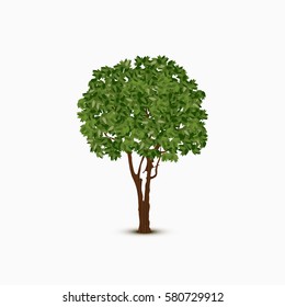 Abstract green vector tree on white background