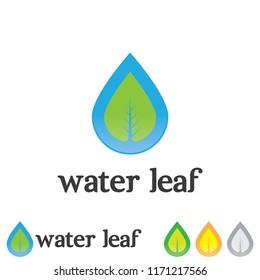 Abstract of green water drop with leaf icons on white background