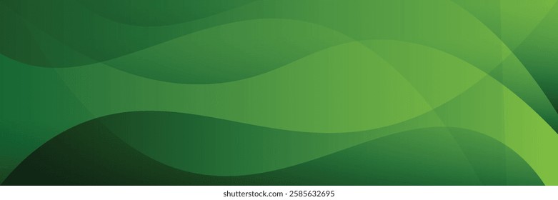 Abstract green wavy background. Vector