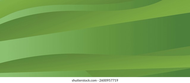 Abstract green wavy background. Vector EPS 10