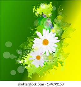 Abstract of green and white daisies. Vector