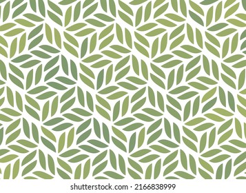 abstract green white rectangle, retro styled leaf pattern, geometric texture background, vector illustration, natural line art