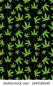 Patrón verde y blanco sin soldadura abstracto con marihuana médica. Símbolo de planta de cannabis con hojas aisladas en fondo negro.  Ilustración vectorial