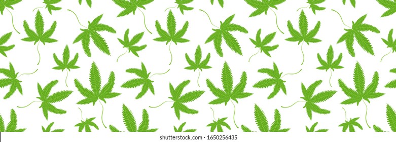 Patrón verde y blanco sin soldadura abstracto con marihuana médica. Símbolo de planta de cannabis con hojas aisladas en fondo blanco.  Ilustración vectorial