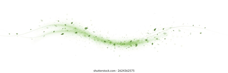 Abstrato Vento Verde Redemoinhos com Folhas e Glitter Isolado no Fundo Branco - Efeito Brisa Natureza, Flying Foliage, Eco Motion Design Element for Fresh Air or Organic Product Ads