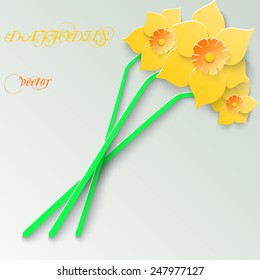 Abstract greeting card with 3d yellow daffodils. Spring floral paper background. Vector illustration. 