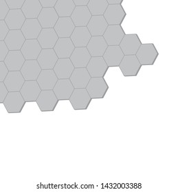 Abstract grey 3D hexagon vector