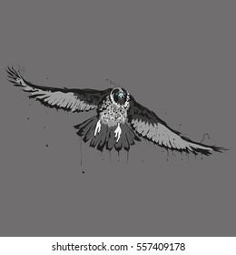 Abstract grey falcon