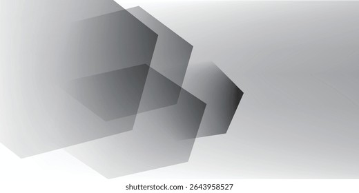 Abstract grey hexagonal white background. with elegant artistic style