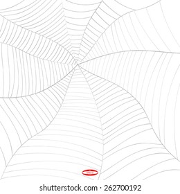 abstract grey spider web or cobweb with gray line isolated on white background vector