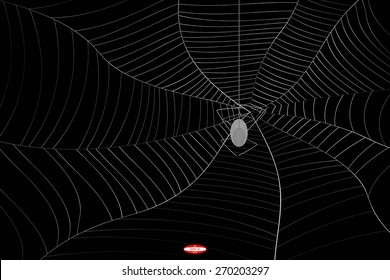 abstract grey spider web or cobweb with spider with gray line isolated on black background.vector illustration 