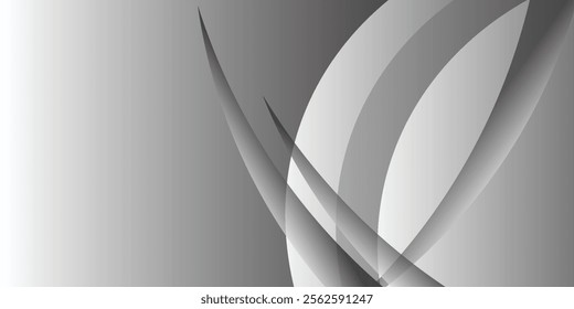 Abstract grey white background with modern scratch effect, gradient wave background concept.