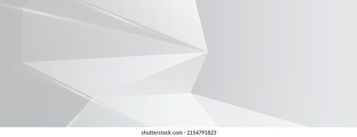 Abstract grey and white geometric stylish modern smooth background design vector