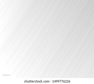 Abstract  grey white waves and lines pattern for your ideas, template background texture
