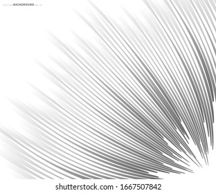 Abstract  grey white waves and lines pattern for your ideas, template background texture