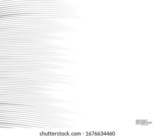 Abstract grey white waves and lines pattern for your ideas, template background texture. vector - illustrator