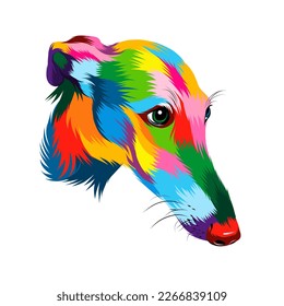 Abstract greyhound dog head portrait from multicolored paints. Puppy muzzle portrait, dog muzzle. Colored drawing. Vector illustration of paints