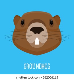 Abstract groundhog head isolated on blue. Cartoon cute groundhog portrait for design card, invitation, banner, book, scrapbook, t-shirt, poster, sketchbook, album etc.