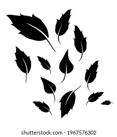 Abstract group of leafs on the white background. Vector