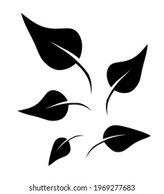 Abstract group of leafs on the white background. Vector