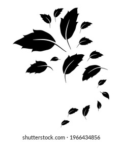 Abstract group of leaves on a white background. Vector