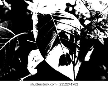 Abstract grunge artistic leaf pattern vector background and texture. 
