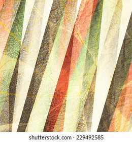 abstract, grunge background with leafs pattern over colorful stripes. vintage vector wallpaper 