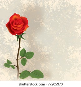 abstract grunge floral background with red rose on beige