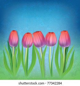 abstract grunge floral background with tulips on dirty blue